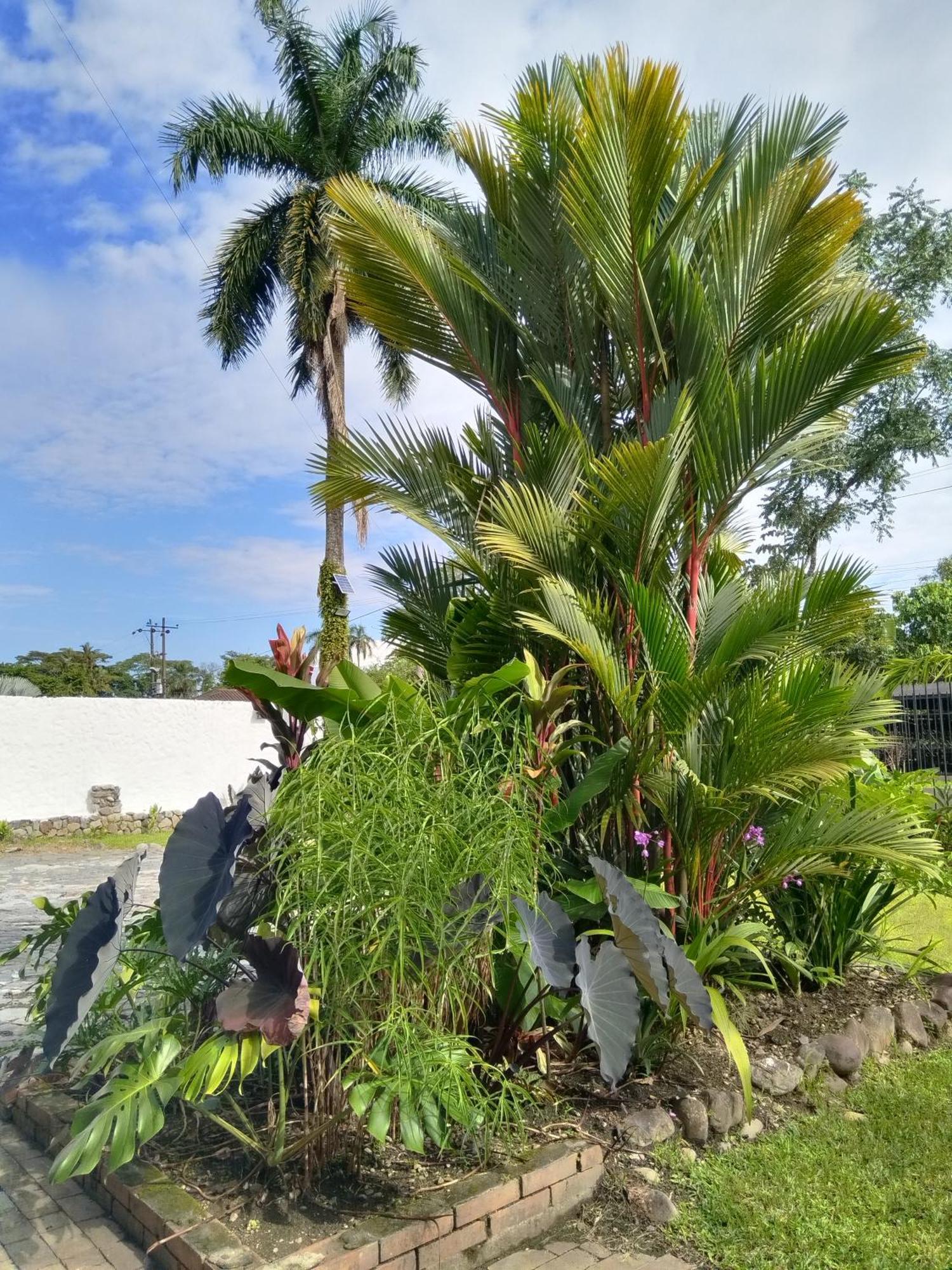 Doral House Villavicencio Bavaria Exterior photo